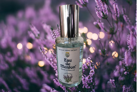 French Room scent Lavender